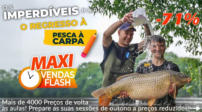 Está na hora de voltar à escola para as carpas