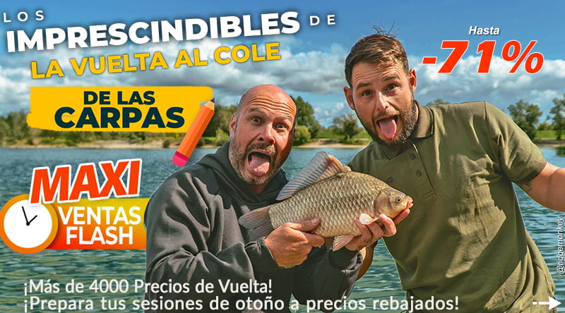 Es hora de volver al cole para las carpas.