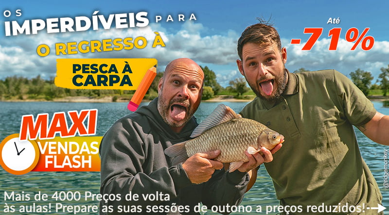 Está na hora de voltar à escola para as carpas