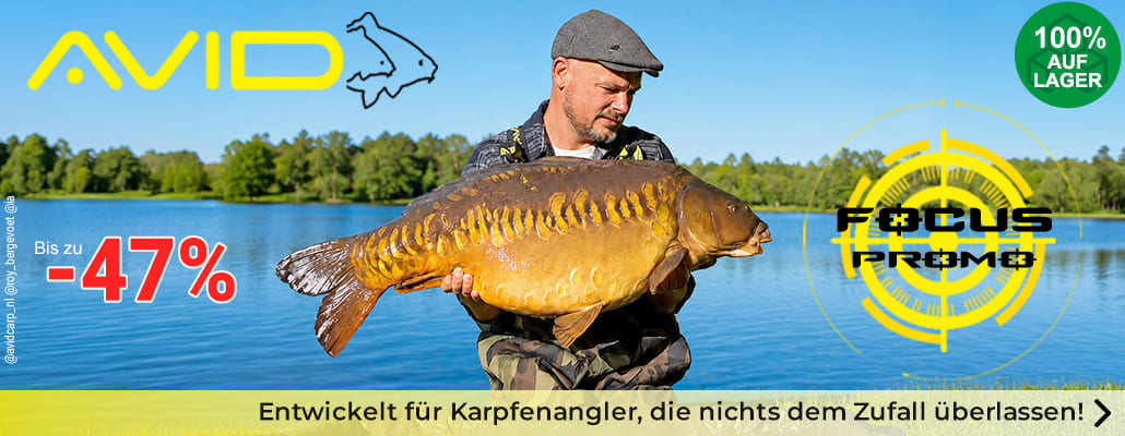 Focus Promo Avid Carp