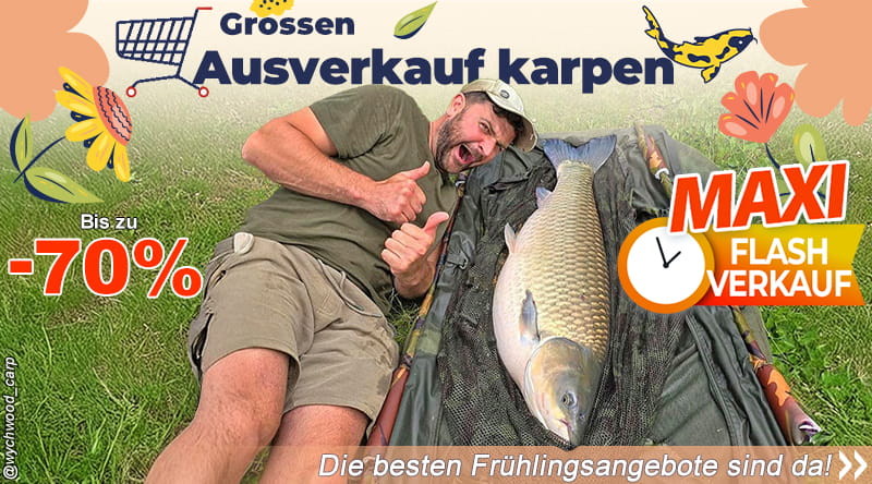 Groosen Ausverkauf karpen