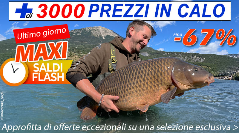+ 3000 cali di prezzo
