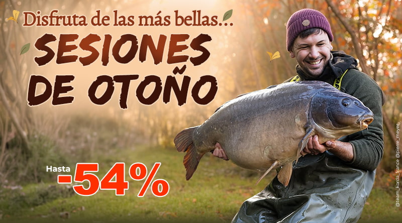 Sessions d'automne