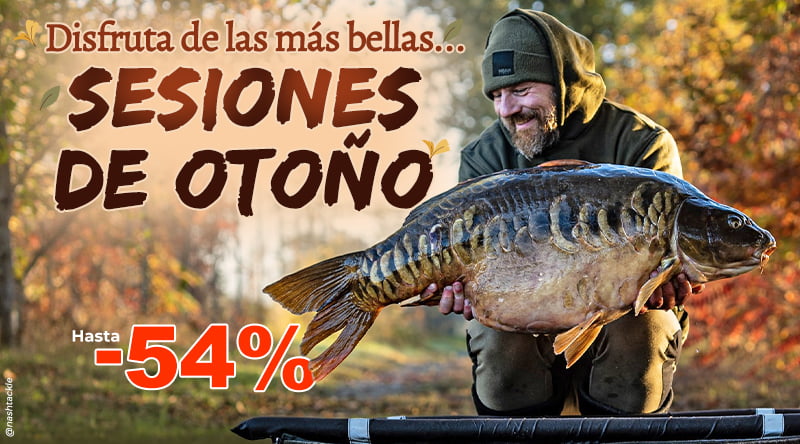 Sessions d'automne