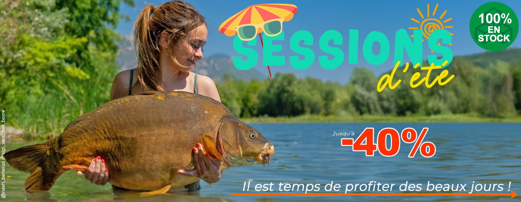 Sessions d'été